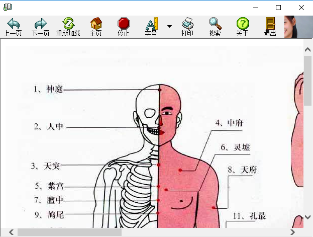 人体穴位图软件 v2017 最新版1