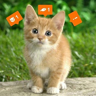 Giddylizer客户端 v7.4.5 安卓版2