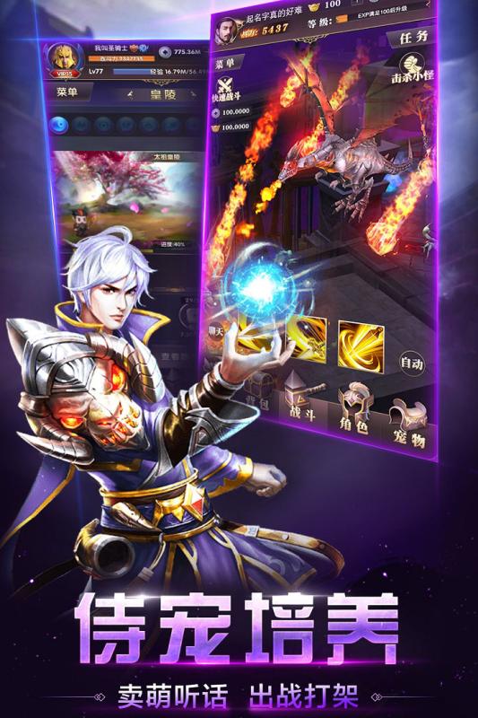 王者传奇奇迹之路九游版 v1.13.0 安卓版2