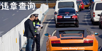 违章查询app