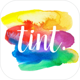 tint游戏