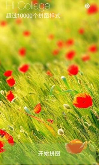 随手拼手机版(美化app) v1.6 安卓版3