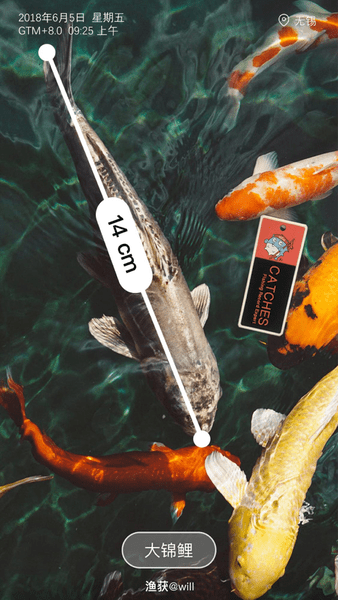 渔获海上风力海浪预报 v3.9.18 安卓版1