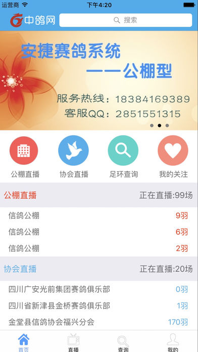 中鸽网app