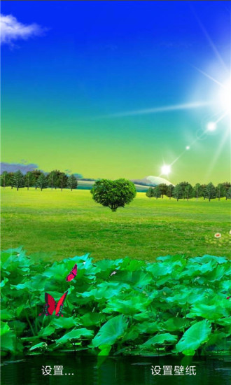 荷花唯美动态壁纸