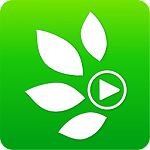 题谷小题大作手机版