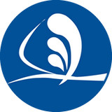 智慧货运货主端app