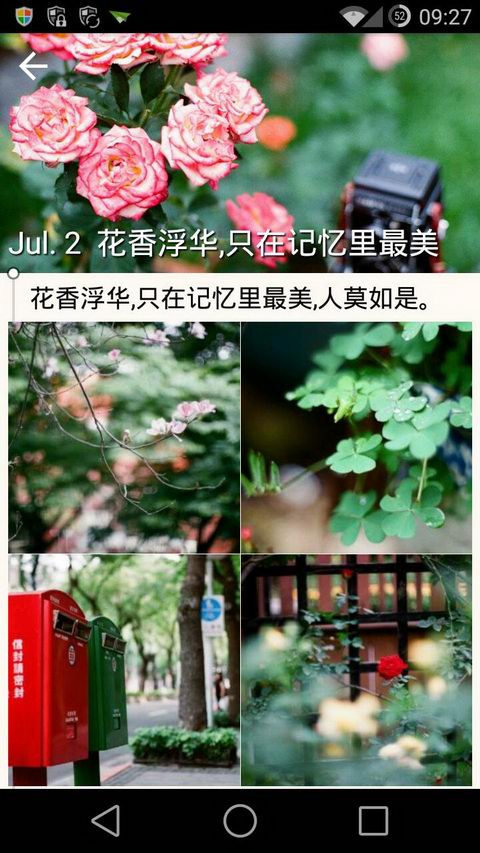 北方栖姬锁屏壁纸