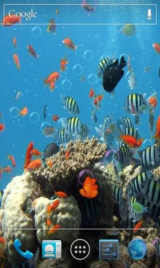 3d海底世界真鱼动态手机壁纸 v6.8 安卓版 0