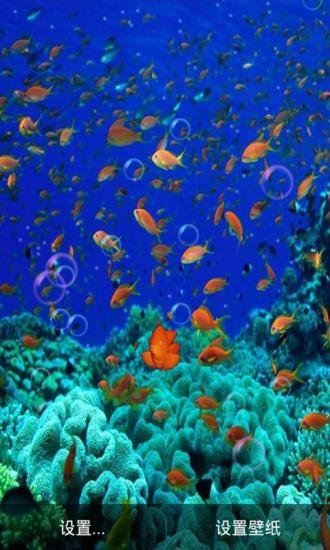 3d海底世界真鱼动态手机壁纸 v6.8 安卓版 1