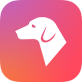 看道物体识别软件