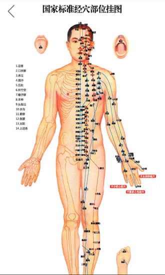 灸大夫经络穴位图解软件 v6.1.6 安卓版 1
