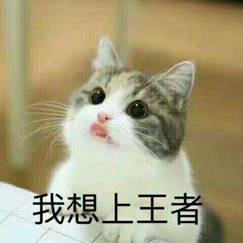 王者荣耀求带斗图qq表情包