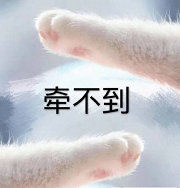 猫爪牵手表情包全套