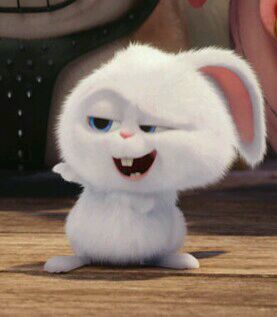 爱宠大机密兔子表情包下载