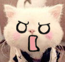 恶搞猫咪动态表情包