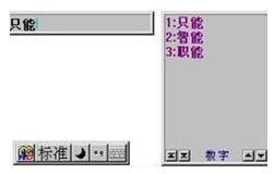 标准输入法2012正式版 0