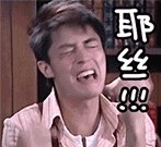 霍建华QQ动态表情包