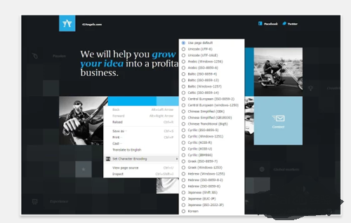最新版谷歌浏览器字体编码设置插件 免费版0