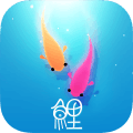 鲤最新版