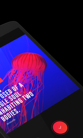 vue旧版本 v2.05 安卓历史版本1