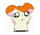 哈姆太郎qq微信表情包