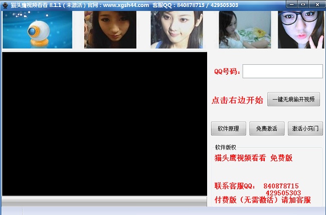 猫头鹰视频看看
