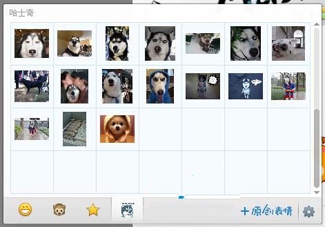 哈士奇搞笑表情包