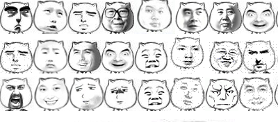 猥琐猫人脸高清表情包 0