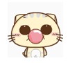 沪江网校cc猫qq微信动态表情包