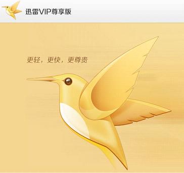 迅雷vip尊享版修改版
