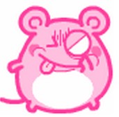 肥鼠bobi完整表情包(bobi鼠)