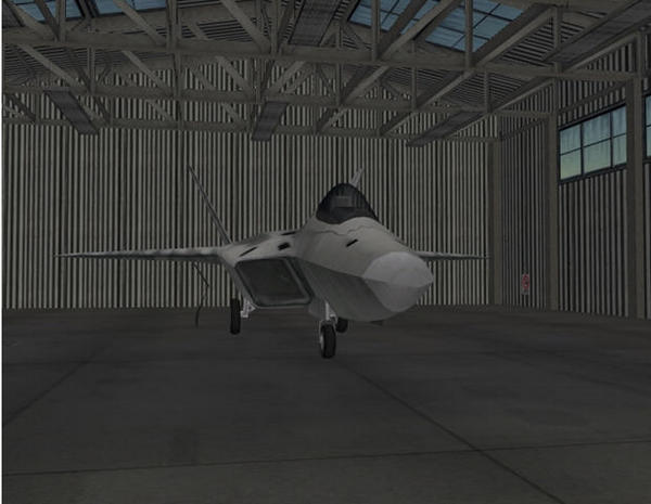 F22战斗机完美版 中文版 0