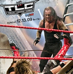 WWE2009(世界职业摔跤2009)