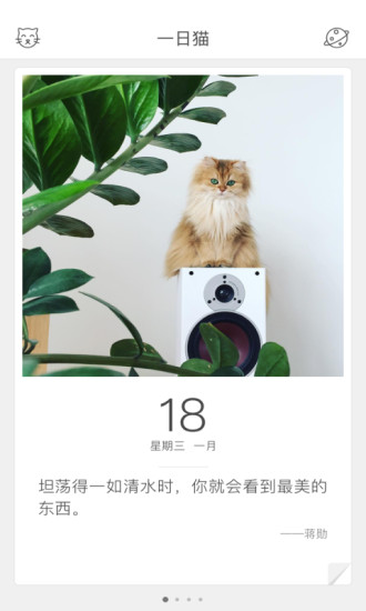 一日猫手机版 v2.4.7 安卓最新版0