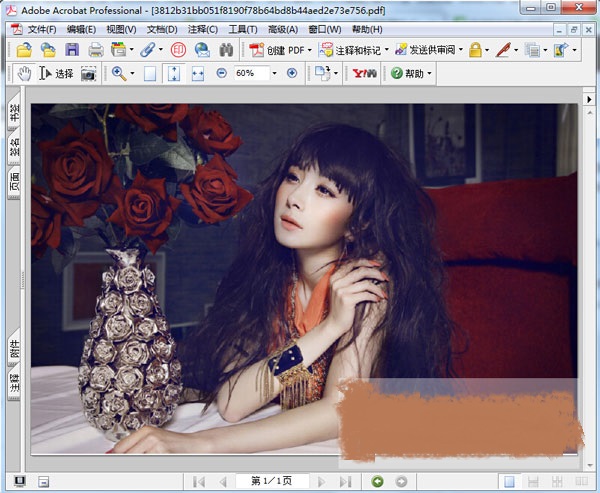 pdf7.0专业版官方版(adobe acrobat pro 7.0) 安装版0