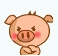 乖乖猪可爱qq表情包