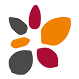 天风证券大智慧专业版