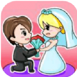 放开那新娘正式版