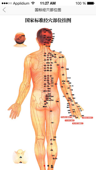 经络穴位图解软件 v6.3.2 安卓最新版0
