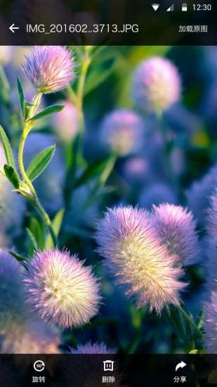 无限相册手机软件 v2.4 安卓版1