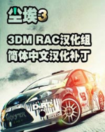 尘埃3完美汉化补丁