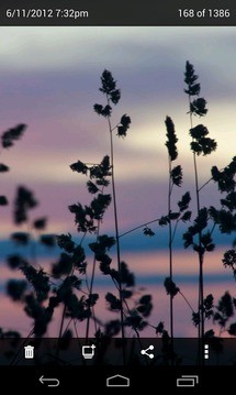 Dropbox(多宝箱) v252.2.2 安卓版1