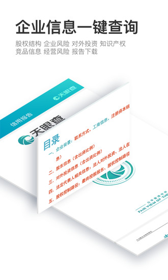 天眼查电脑版