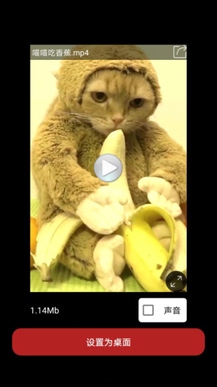 秋名山视频桌面 v1.2.0 安卓版0