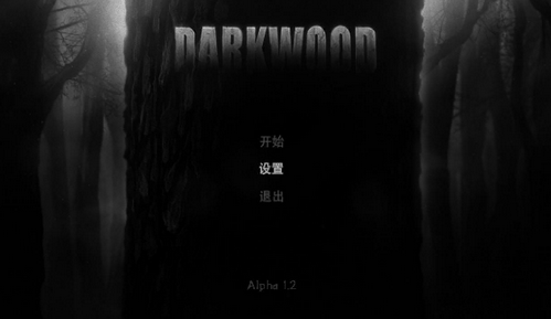 阴暗森林中文版