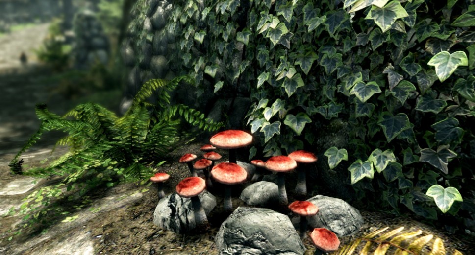 上古卷轴5重制版蒹葭汉化补丁 v7.0 绿色最新版0