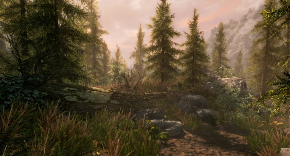 上古卷轴5蒹葭汉化补丁