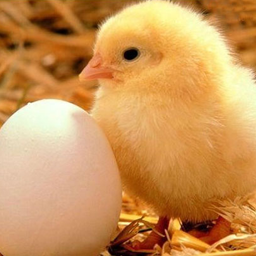 淮安掼蛋游戏大厅