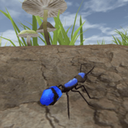 丛林抵御战官方版